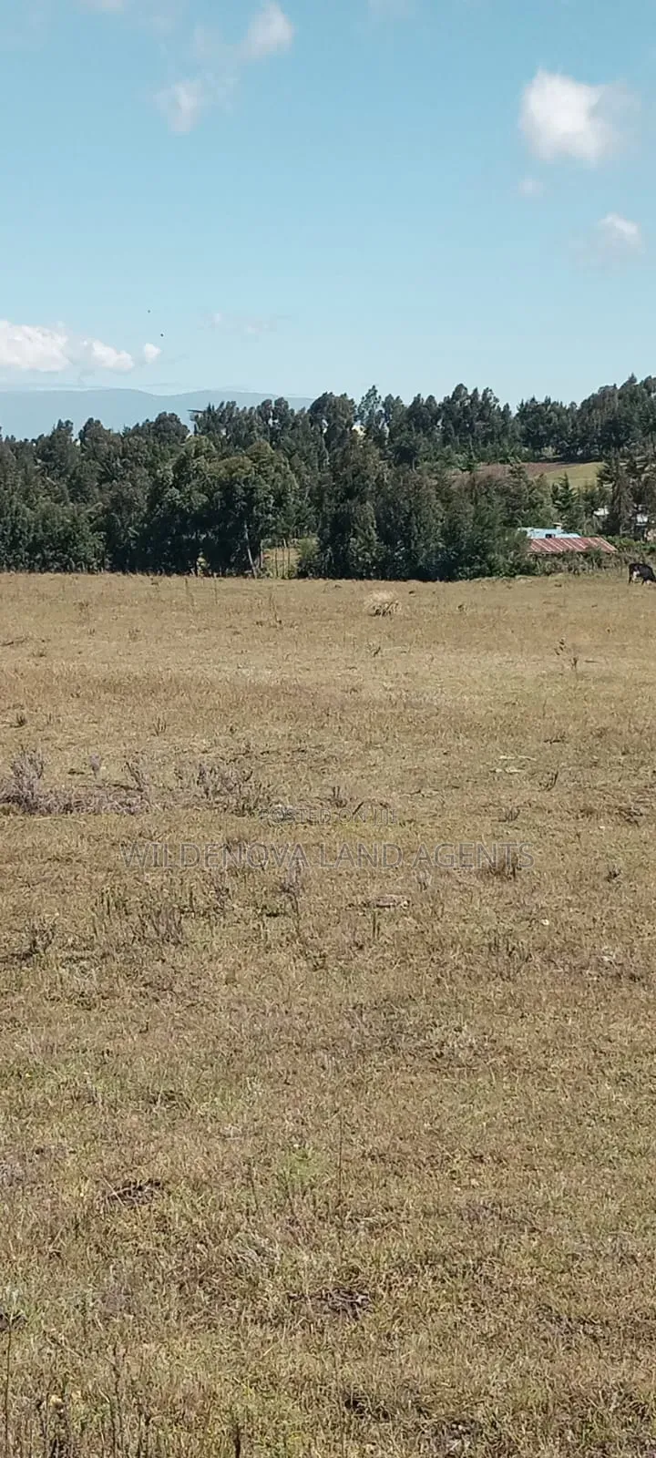 Land on Sale at Heni Kinangop