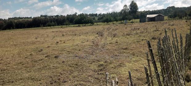 Land on Sale at Heni Kinangop - thumbnail 4