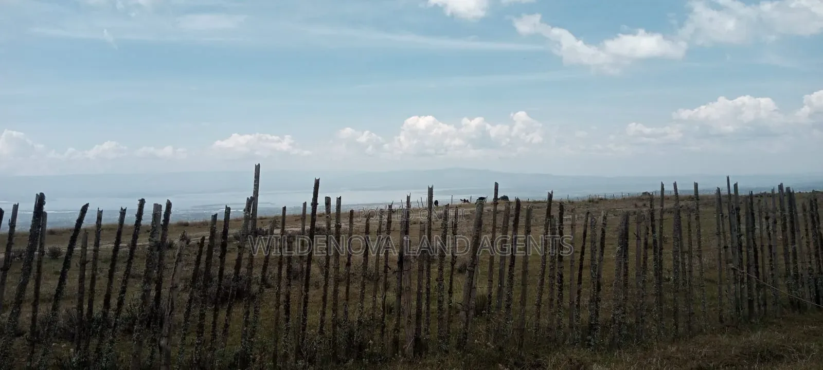 Land on Sale at Heni Kinangop