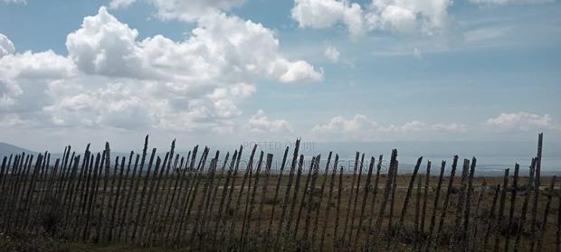 Land on Sale at Heni Kinangop - thumbnail 6