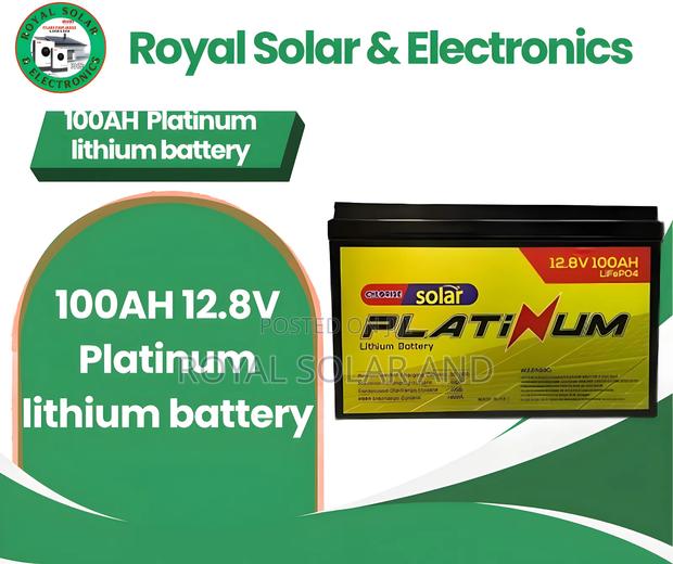 100ah 12v Lithium Battery Platinum