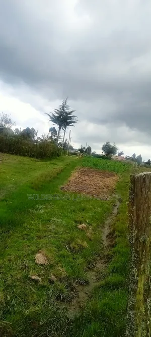 Land on Sale at Magumu Kinangop