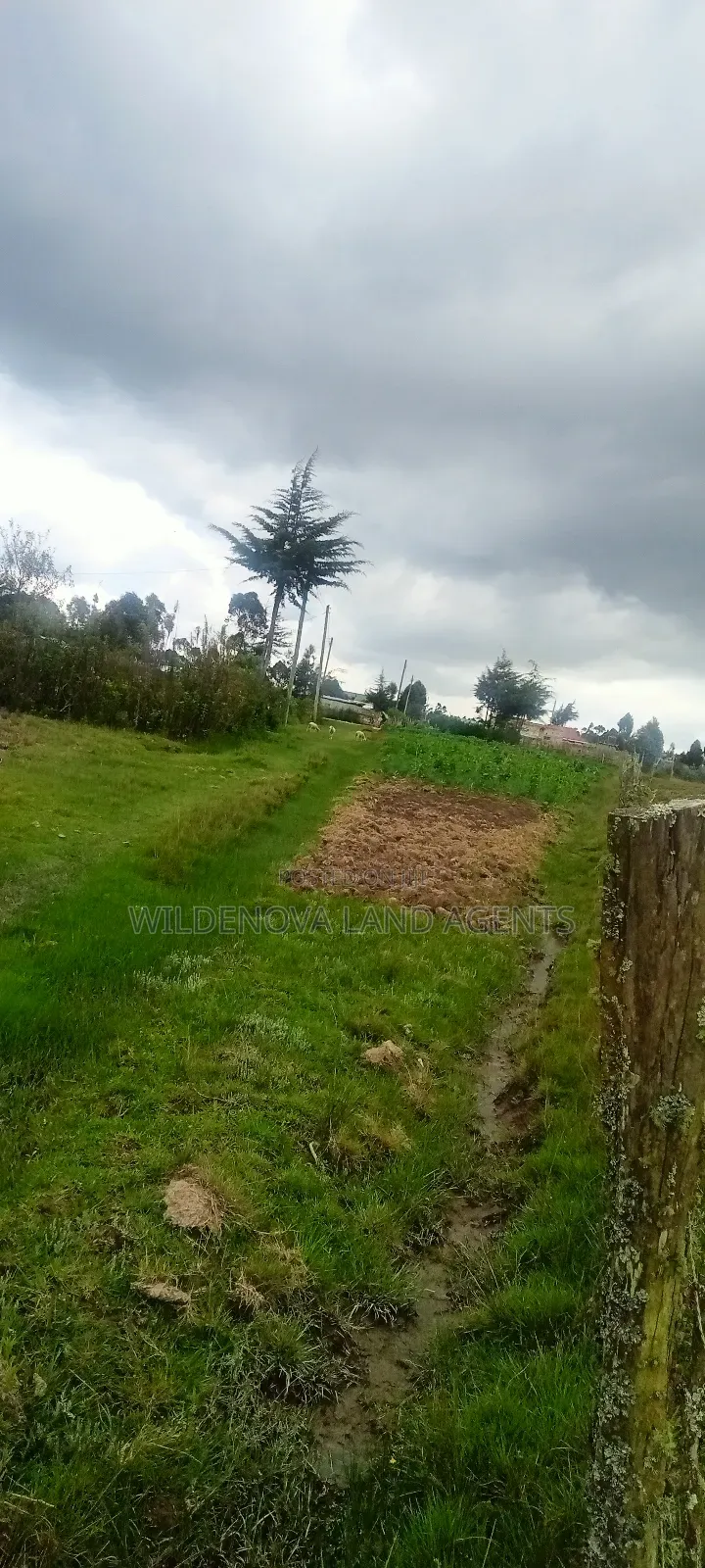 Land on Sale at Magumu Kinangop
