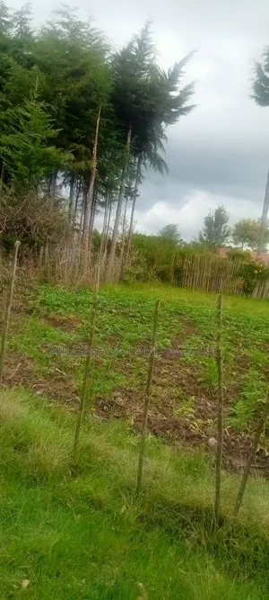 Land on Sale at Magumu Kinangop