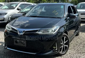 Toyota Axio 2019 Matt Black
