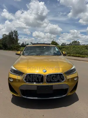 BMW X2 2019 Gold