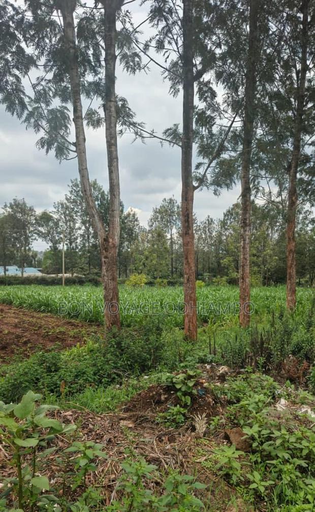 3/4 Acre Prime Land Within Bondo Town on Distress Sale
