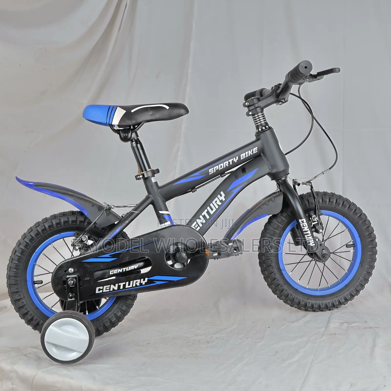 Century Size 12 Kids Bicycle – Blue