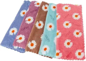 5pc Coral Fleece Soft Absorbent Cloths 30x30cm - Hk