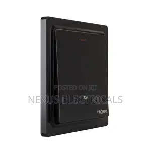 Grey/Black/White - Dp Switch With Neon 20amps Tronic