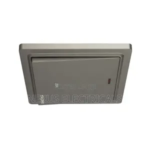 Grey/Black/White - Dp Switch With Neon 20amps Tronic