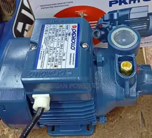 Pkm60 Pedrollo 0.5hp Water Pump/0.5hp Surface Water Pump
