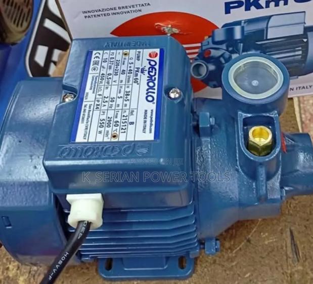 Pkm60 Pedrollo 0.5hp Water Pump/0.5hp Surface Water Pump