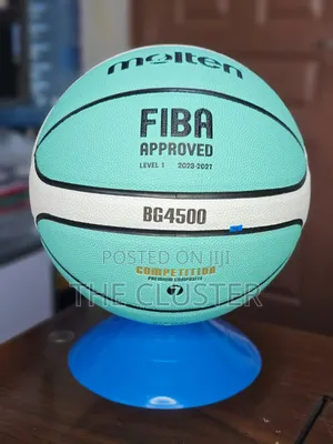 Molten Bg4500 Quality Basketball