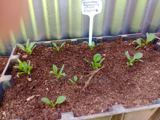 Coco Peat Growing Medium for Planting, Seedlings Soil Conditioning - thumbnail 3
