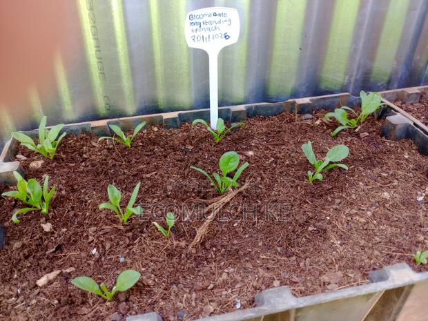 Coco Peat Growing Medium for Planting, Seedlings Soil Conditioning - thumbnail 4