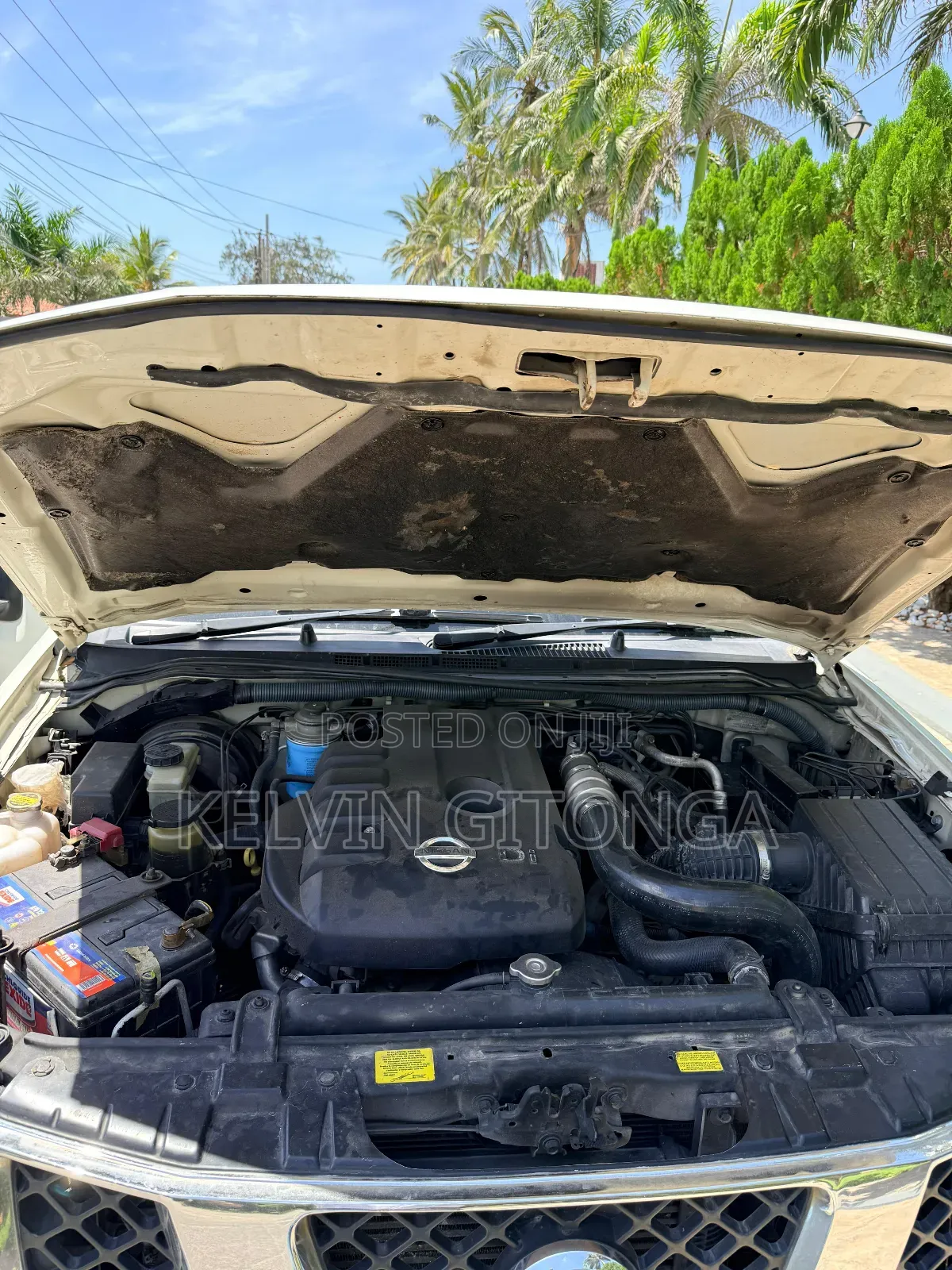 Nissan Navara 2015 White