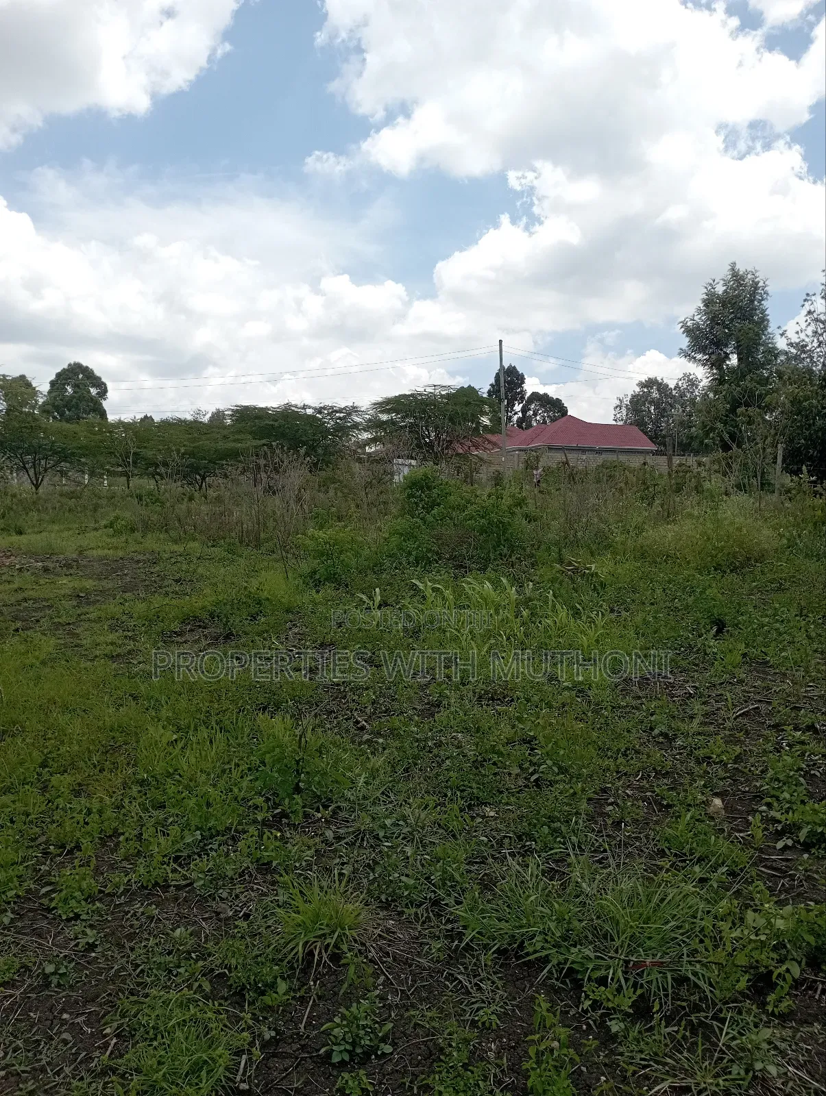 1⁄4 Acre Plot for Sale in Merisho, Ngong