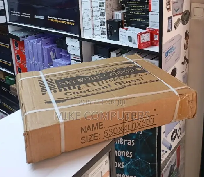 530 X 400 X 300 Mm 6u Cabinet Wall Mount Network Cabinet