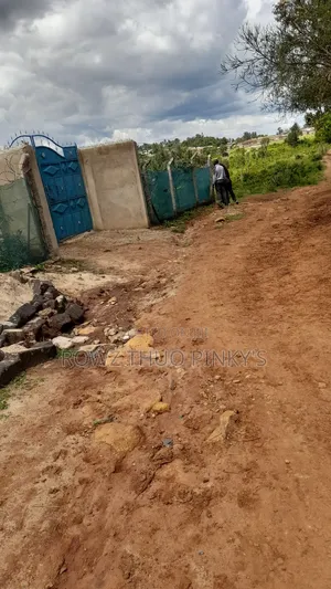 50x100 Plots