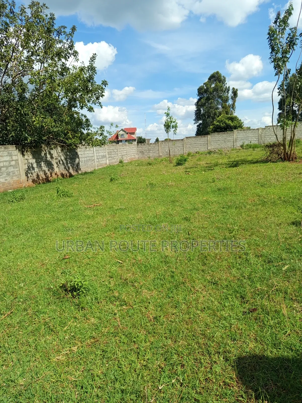 100*100 Plot Gikambura