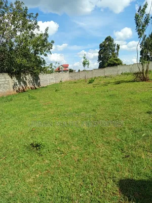 100*100 Plot Gikambura