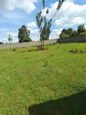 100*100 Plot Gikambura