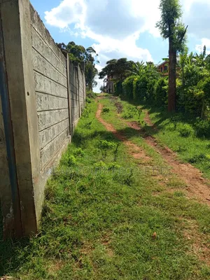 100*100 Plot Gikambura