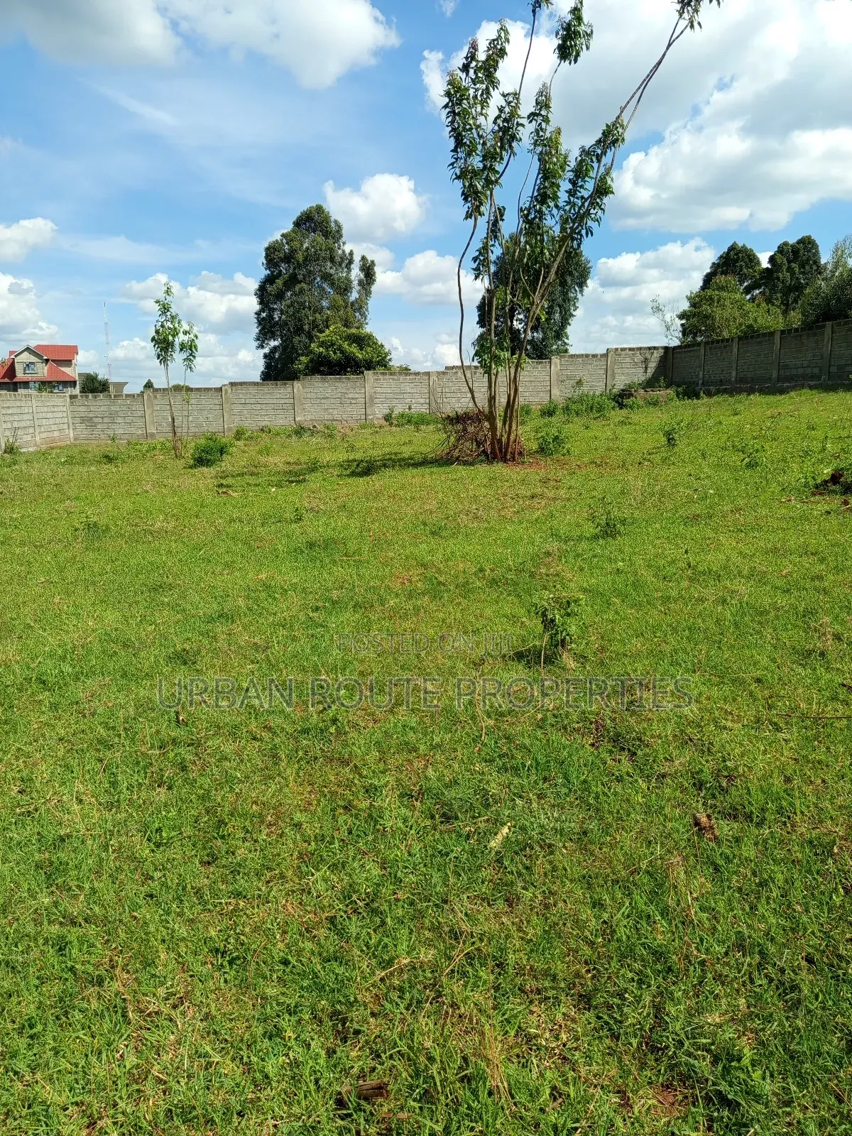 100*100 Plot Gikambura