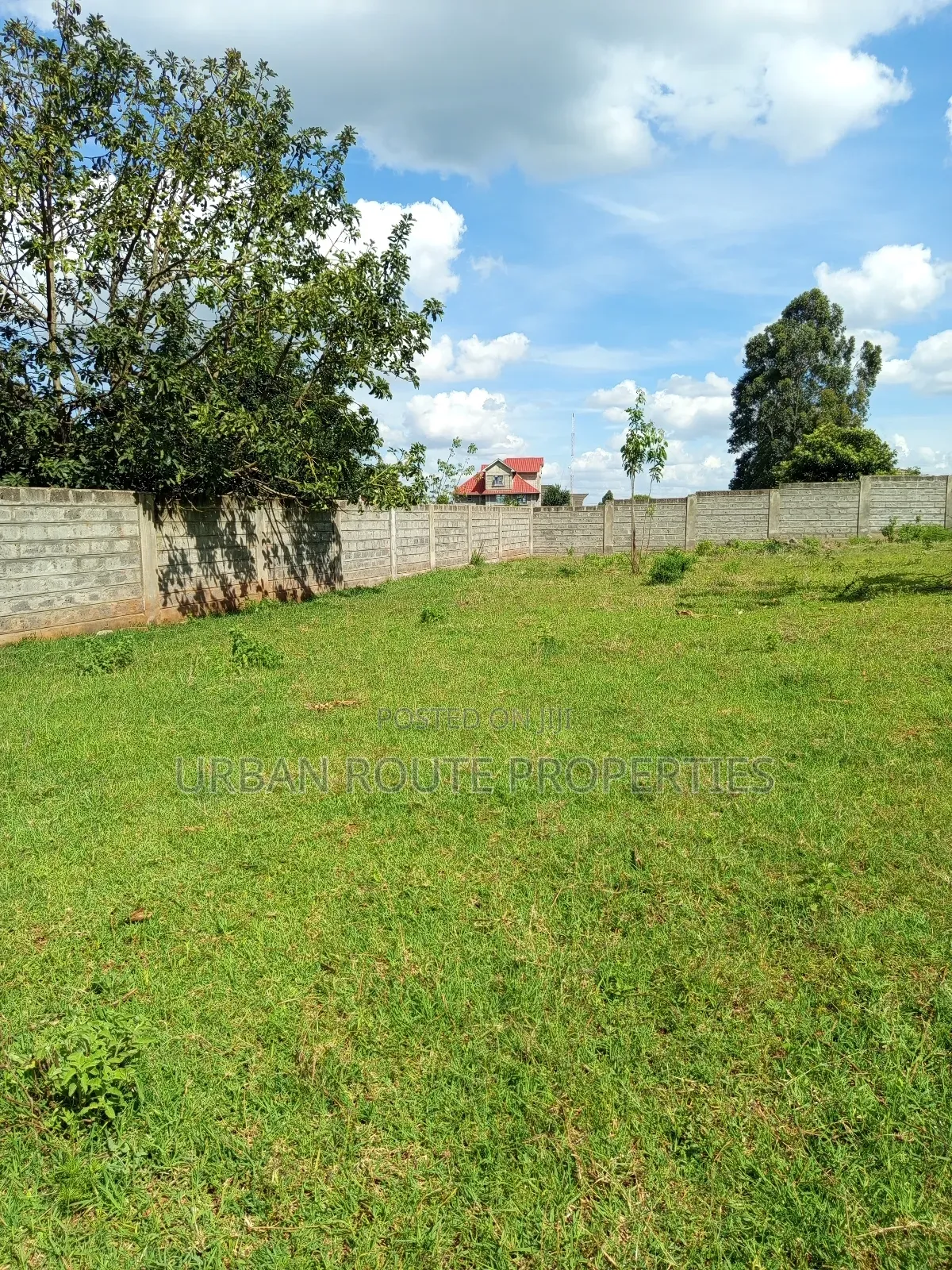 100*100 Plot Gikambura