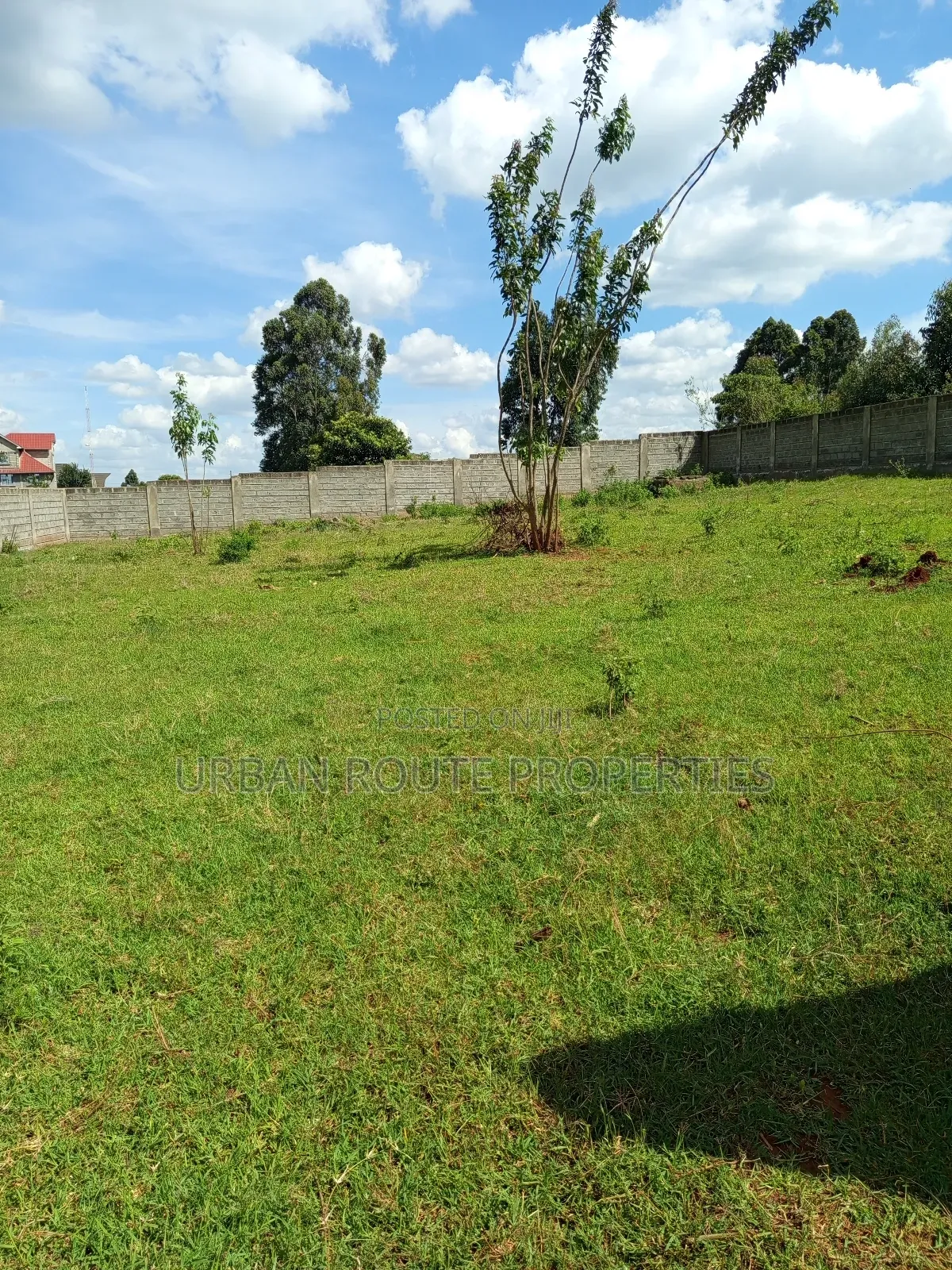 100*100 Plot Gikambura