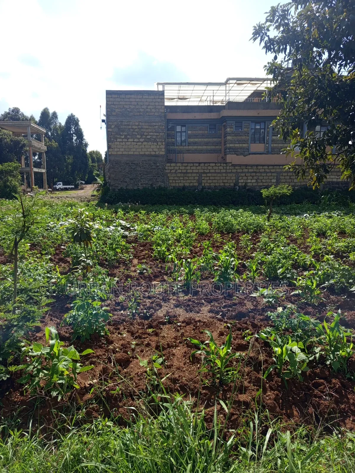 Prime 100*100 Plot for Sale in Kikuyu Gikambura
