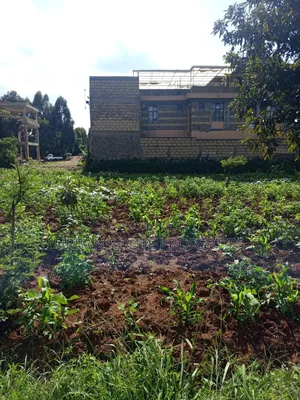 Prime 100*100 Plot for Sale in Kikuyu Gikambura
