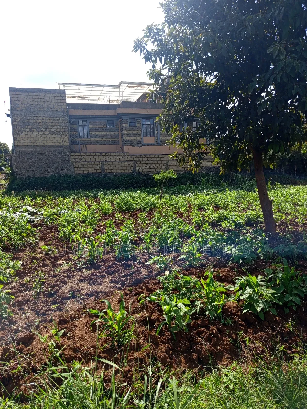 Prime 100*100 Plot for Sale in Kikuyu Gikambura