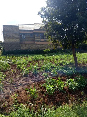 Prime 100*100 Plot for Sale in Kikuyu Gikambura