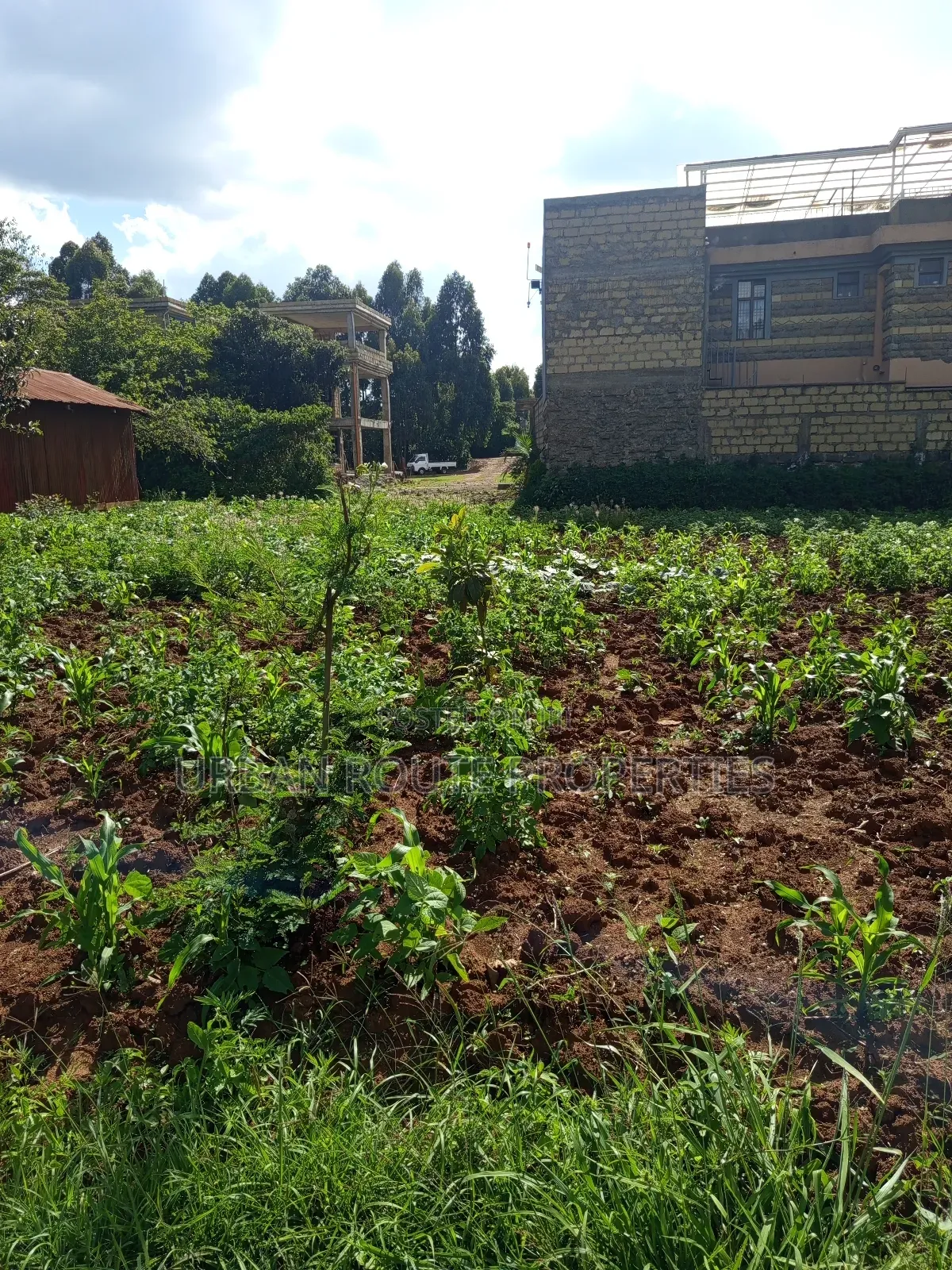 Prime 100*100 Plot for Sale in Kikuyu Gikambura