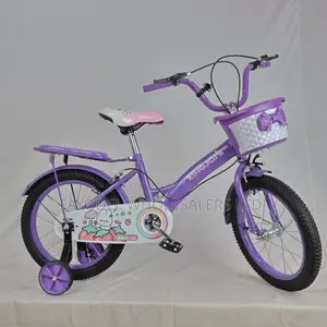 Size 16 Xingqi Gloride Bicycle – Purple
