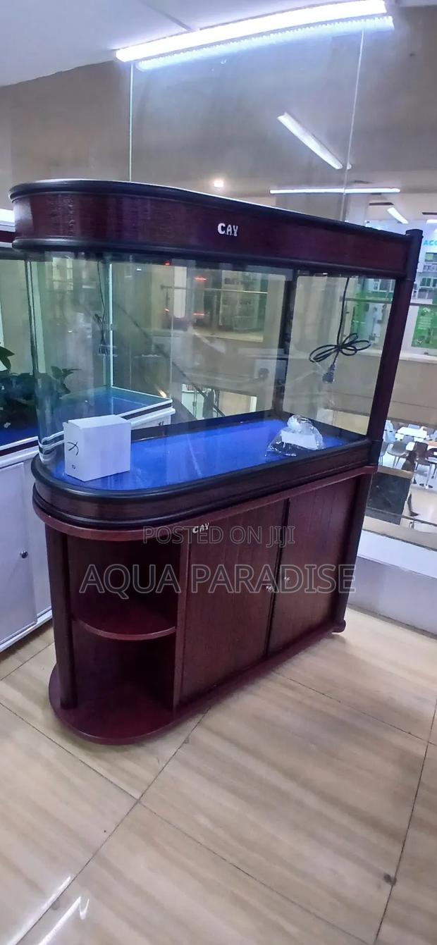 Imported Aquarium - main view