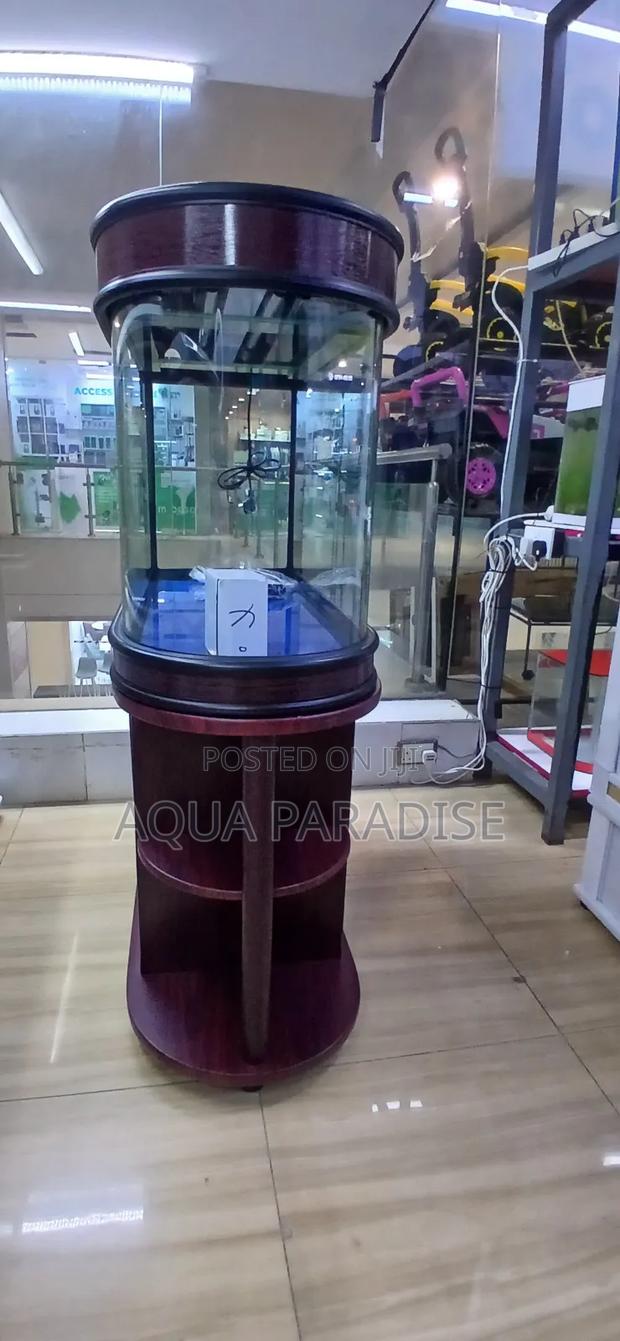 Imported Aquarium - thumbnail 2