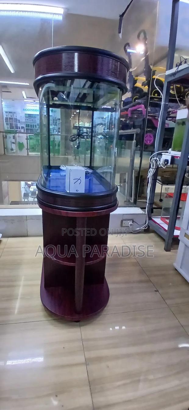 Imported Aquarium - thumbnail 3