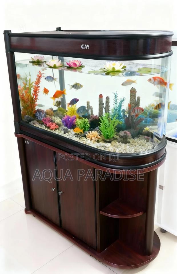 Imported Aquarium - thumbnail 4