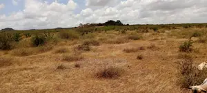 5 Acres for Sale in Kinanie