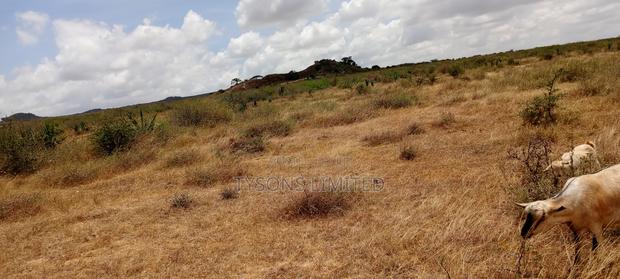 5 Acres for Sale in Kinanie - thumbnail 4