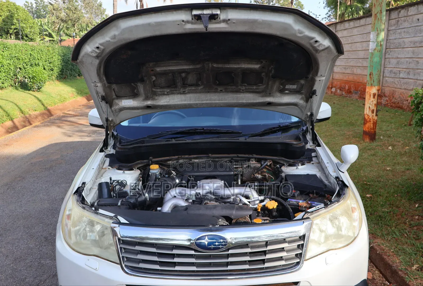 Subaru Forester 2.5X Automatic 2010 White