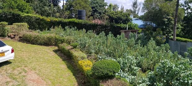 Kikuyu Plots for Sale - main view