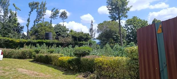 Kikuyu Plots for Sale - thumbnail 2
