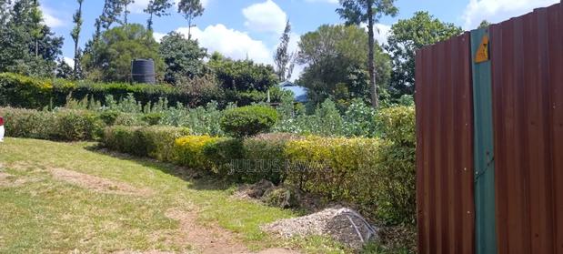 Kikuyu Plots for Sale - thumbnail 6