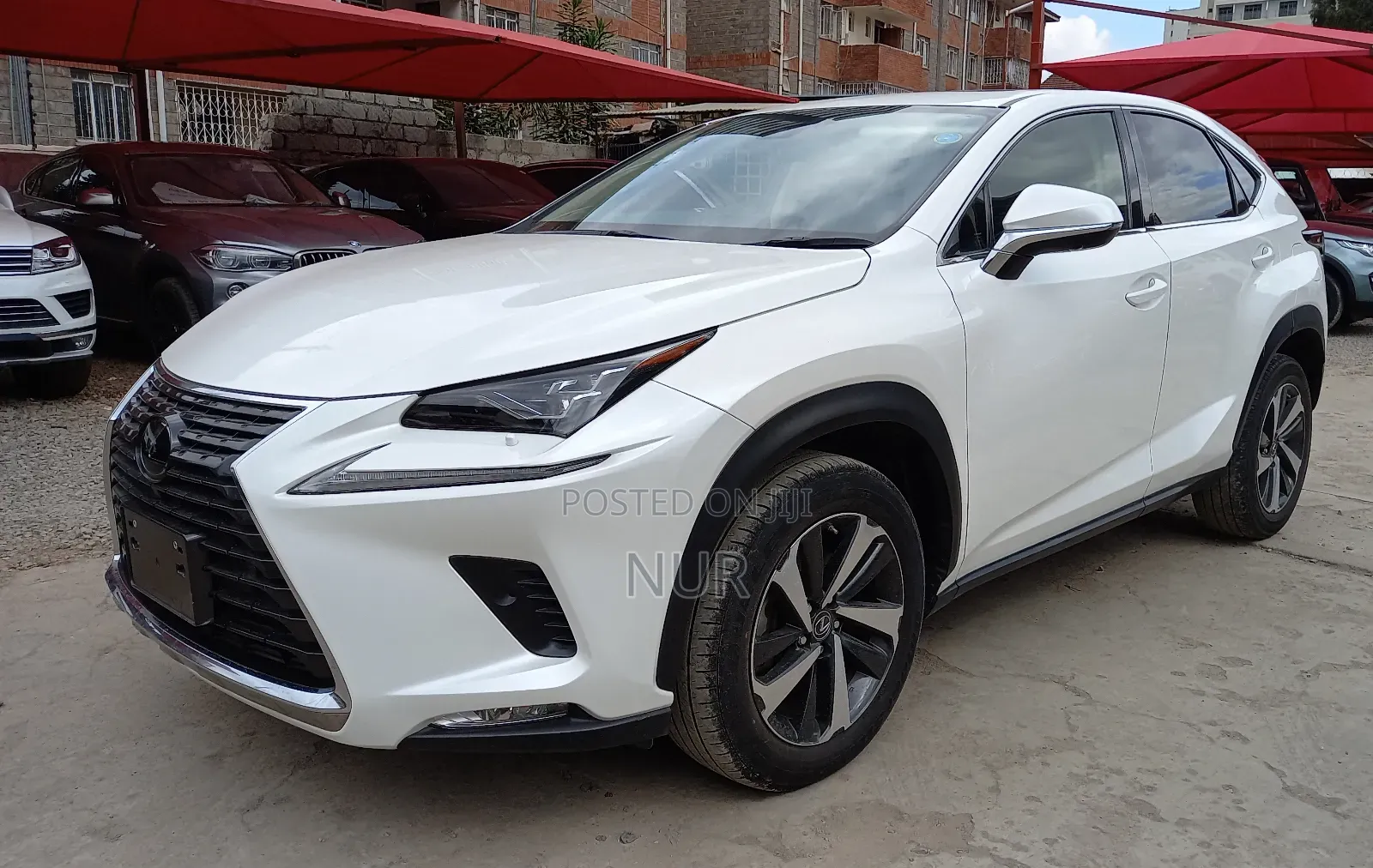Lexus NX 2019 White