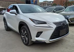 Lexus NX 2019 White