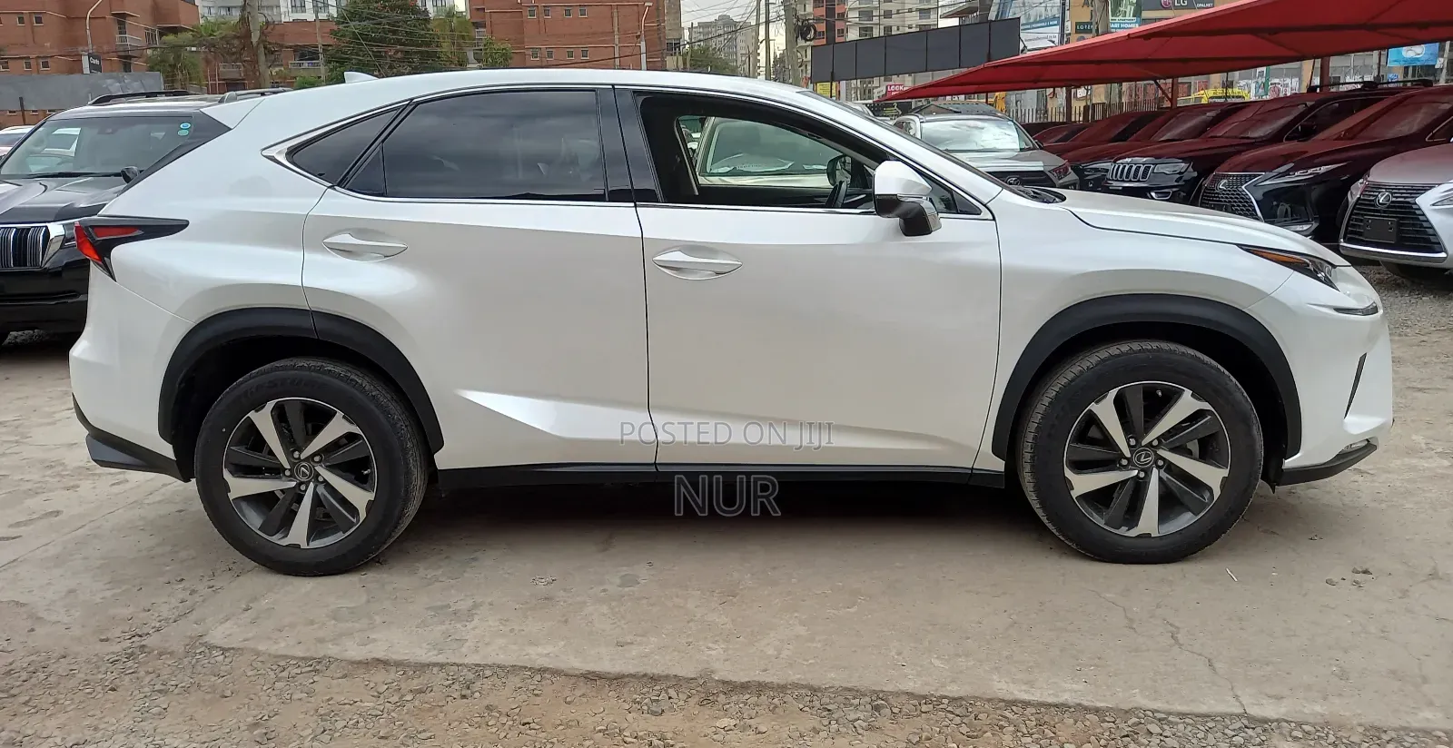 Lexus NX 2019 White
